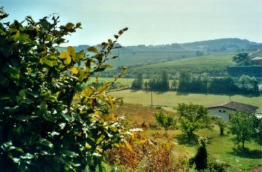 Terrain de sport