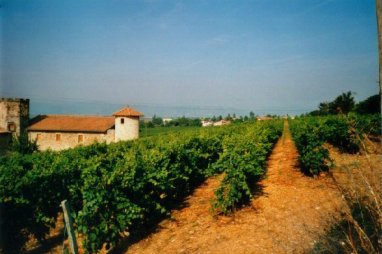Chateau Curson